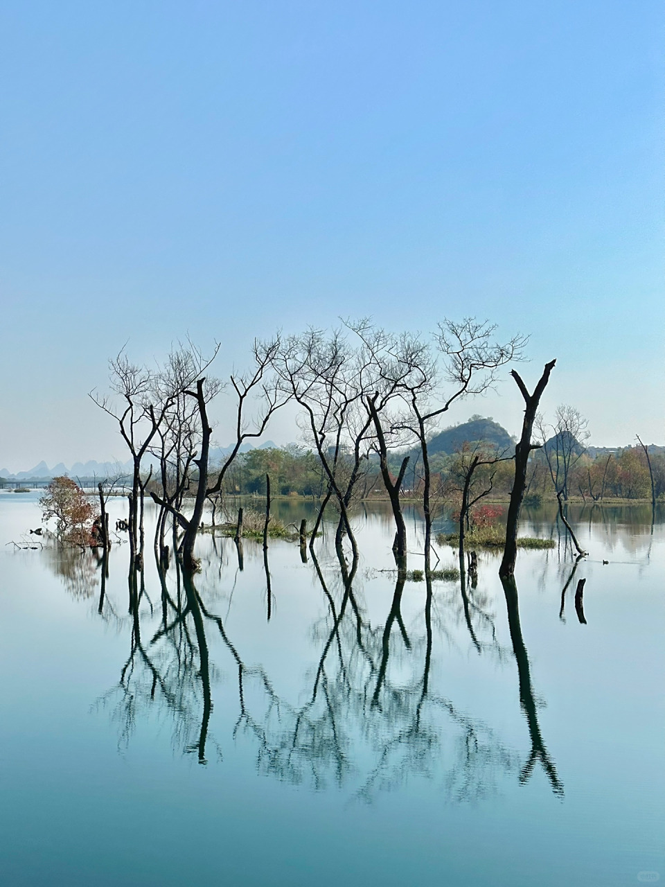 天气不错~出来晒晒太阳吧7715  前段时间炒鸡97的桂林小洱海