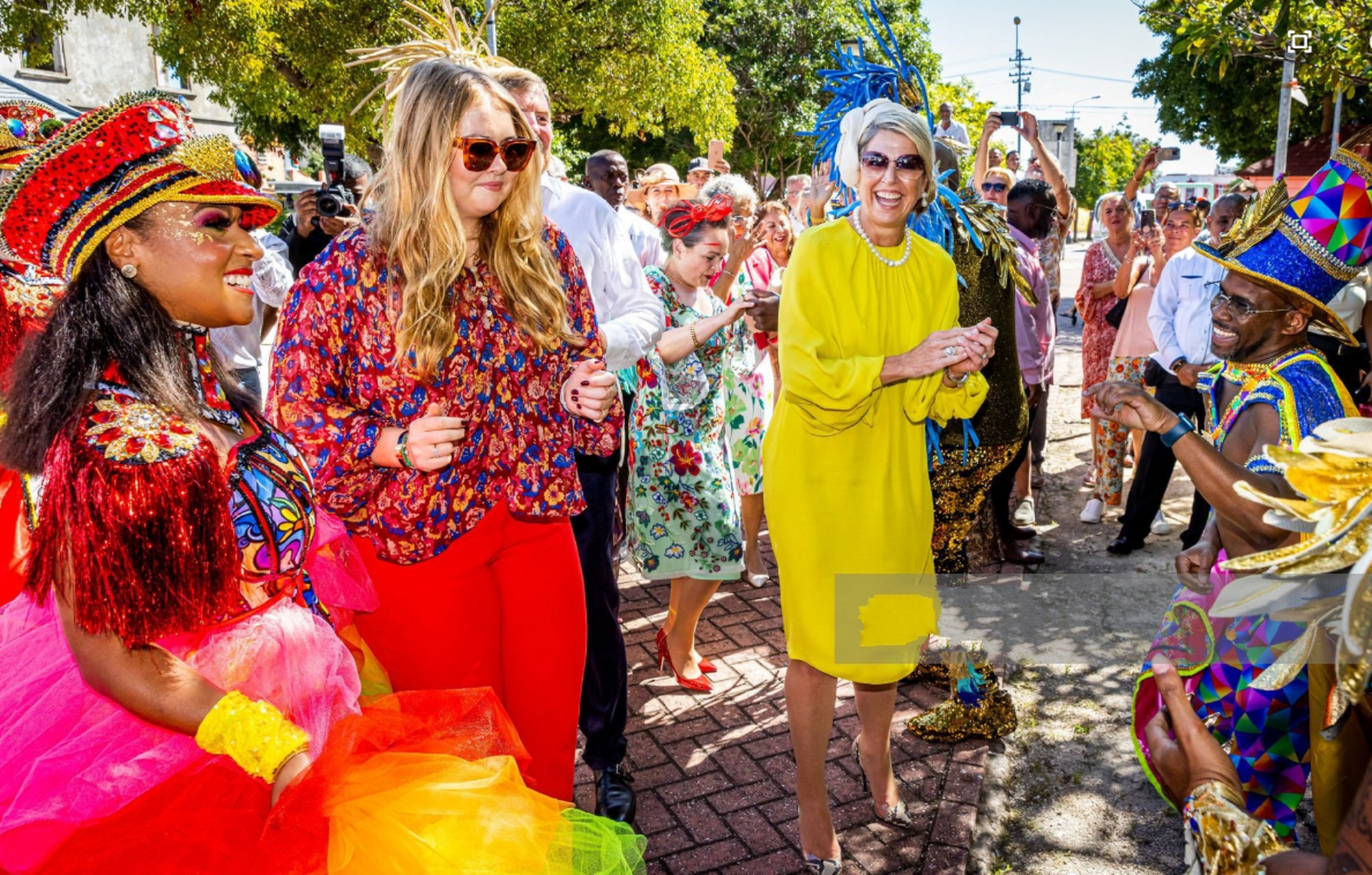 荷兰女王储好富态呀!