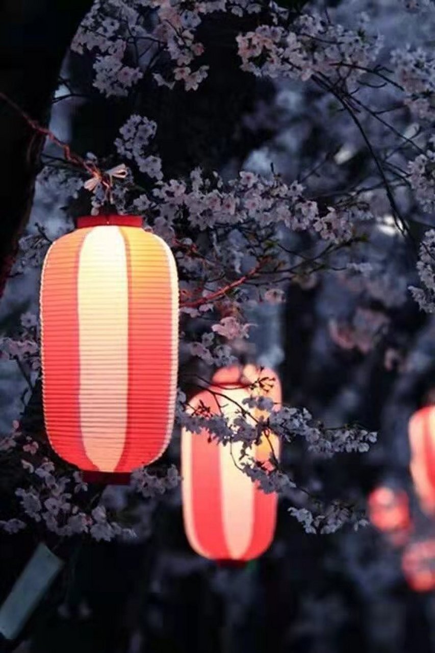 "花间"派中的一股小清流 生查子 五代  牛希济  新月曲如眉,未有团圞(