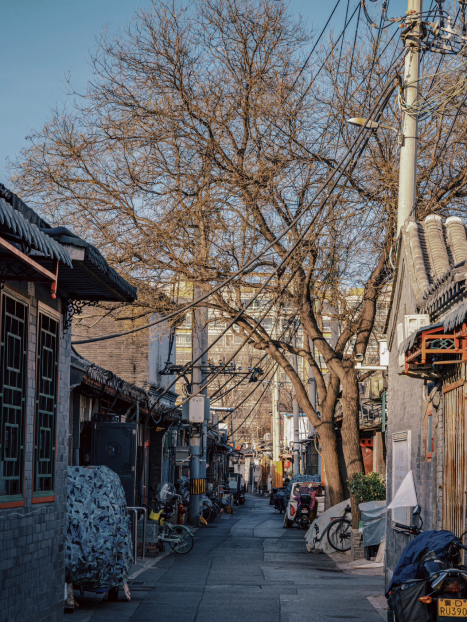 北京胡同|南柳巷胡同里的城南旧事  南柳巷是个四通八达的胡同 出北口