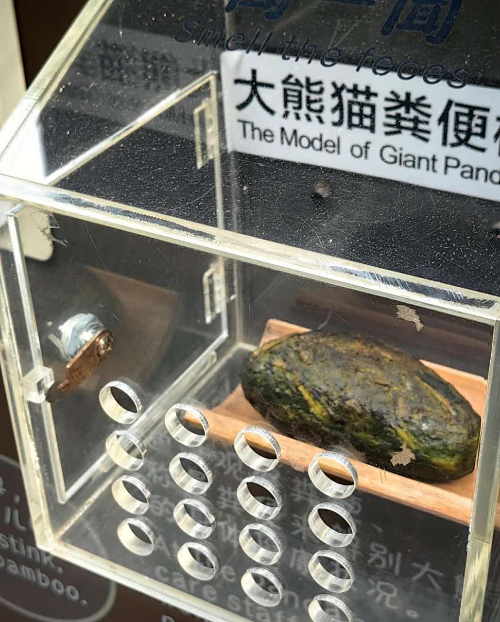 熊猫粪便也有用[三哈][三哈][笑哭]