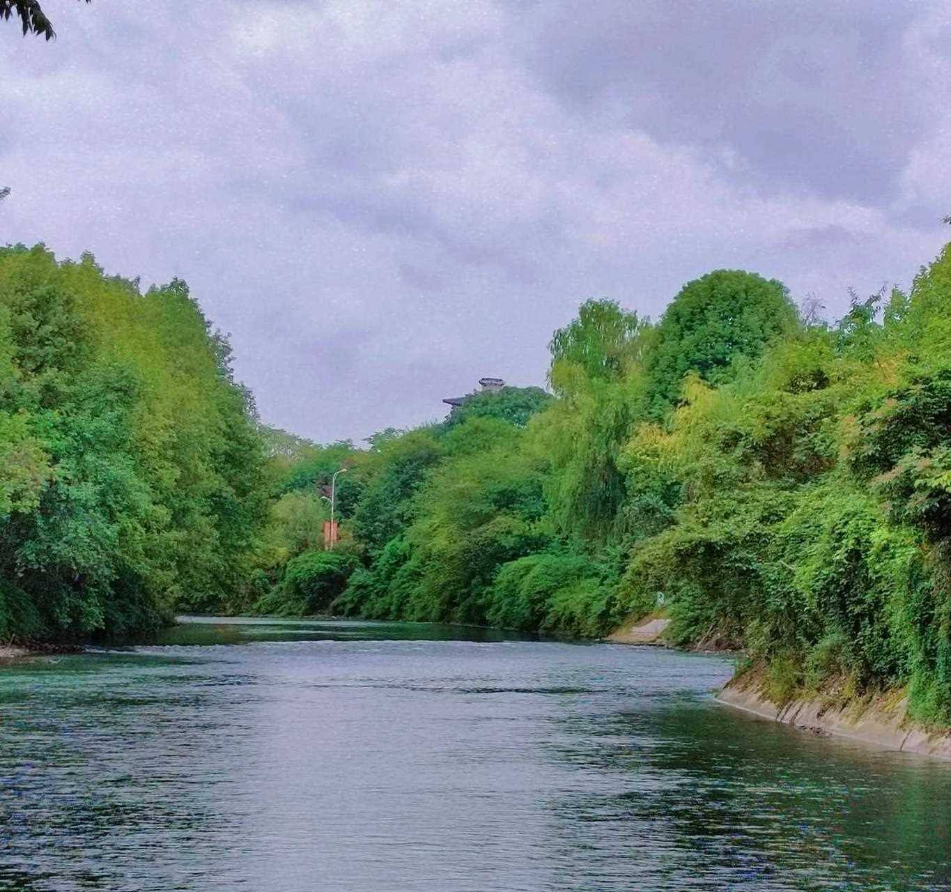 成都温江的一条好河 名字叫江安河 景色优美[晕] 我们都应该来保护好