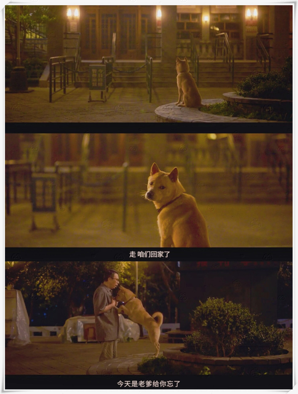 《忠犬八公》是一部非常感人的电影