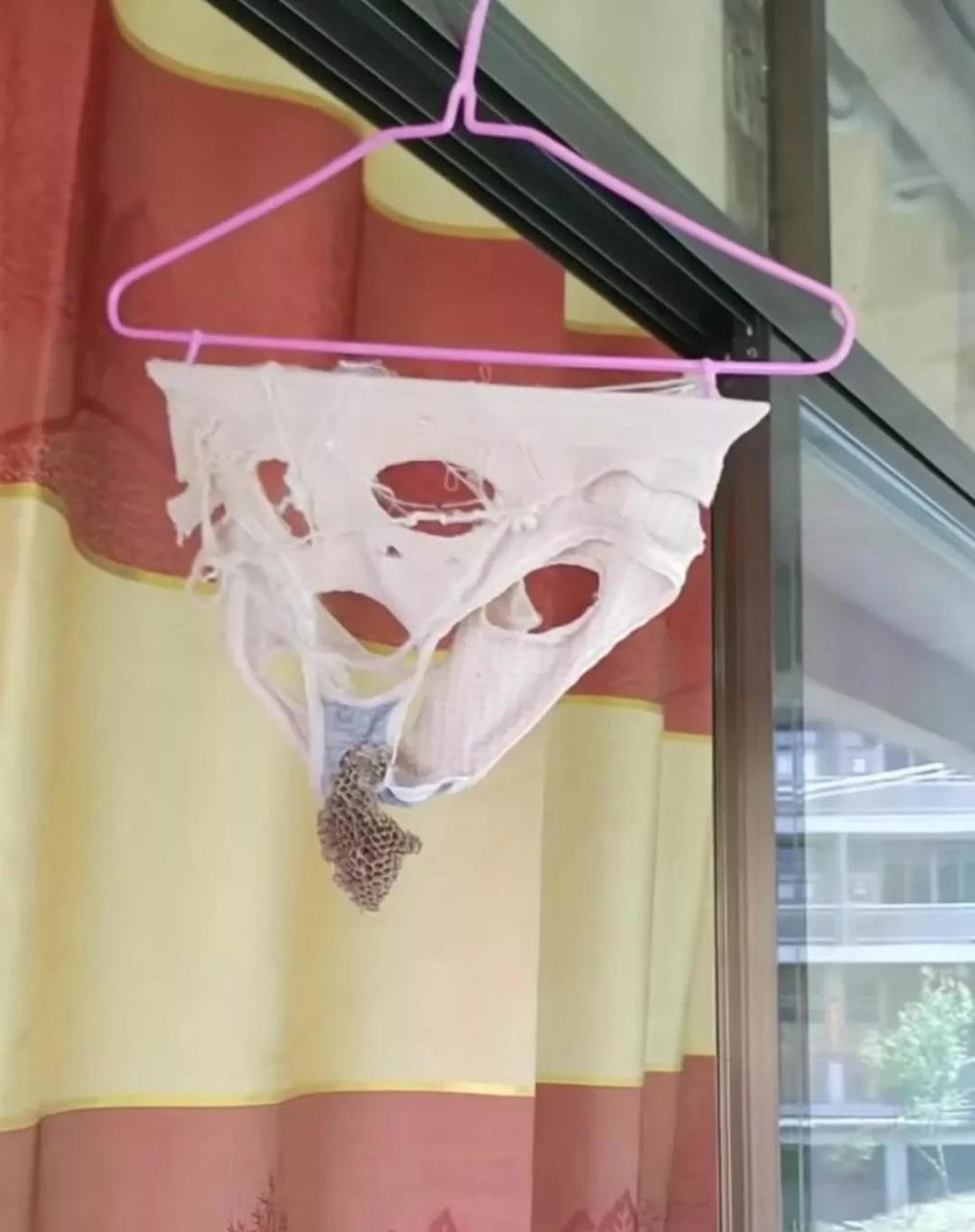 不得不说,这条内裤的主人可真的是勤俭持家啊,就连内裤破成这样了还舍