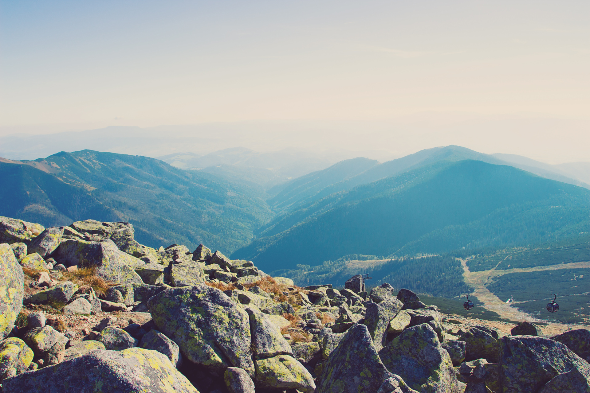 不要去追一匹马,用追马的时间种草,待到春暖花开时