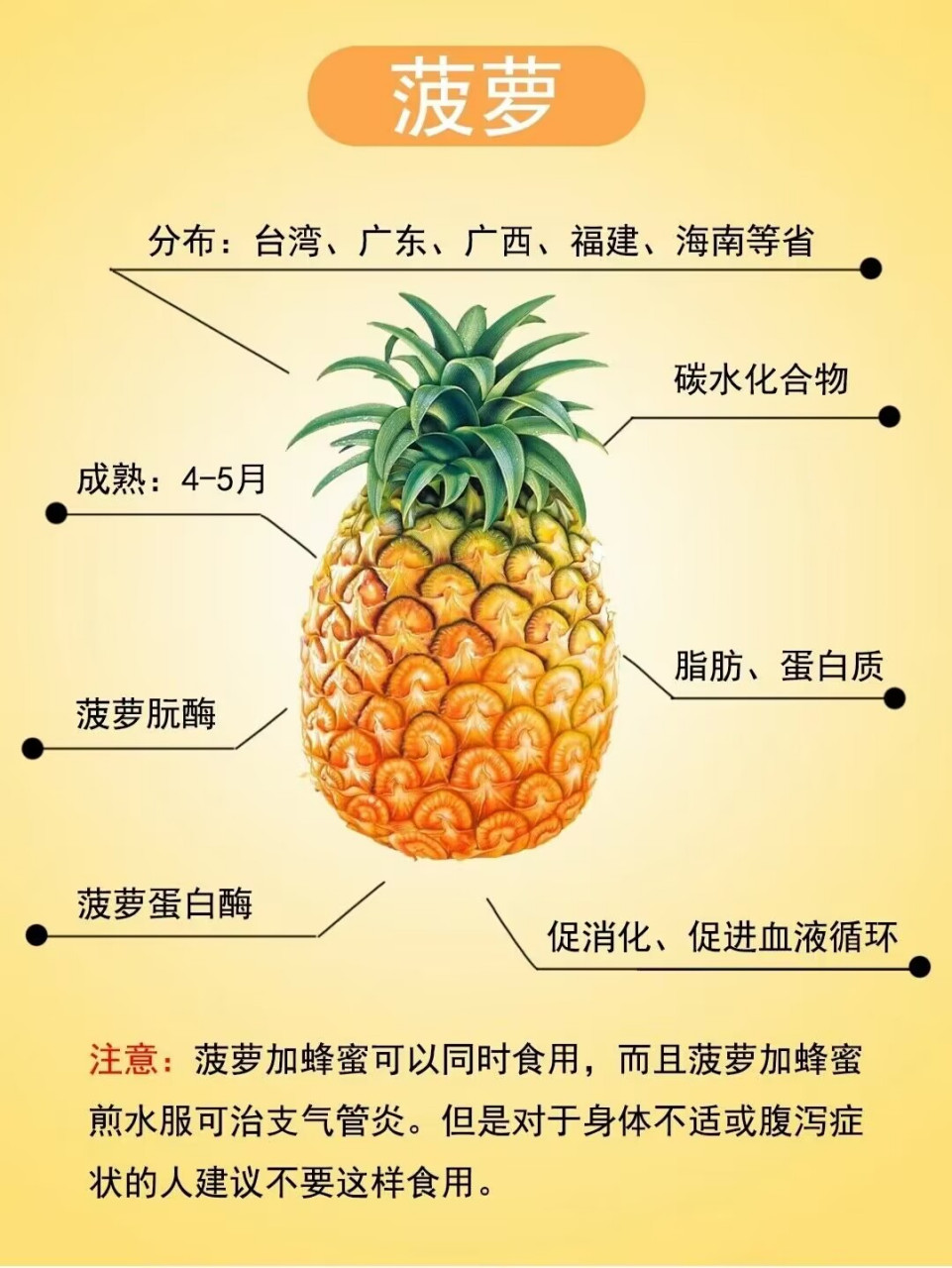 菠萝和凤梨的区别在哪里(菠萝与凤梨到底有什么区别)