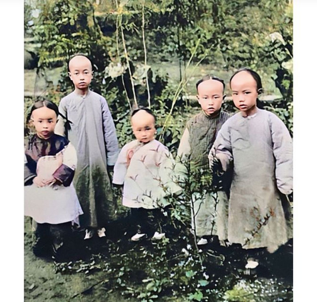 陈宝箴是湖南的一位巡抚,他与儿子陈三立,孙子陈衡恪,曾孙陈封怀以及