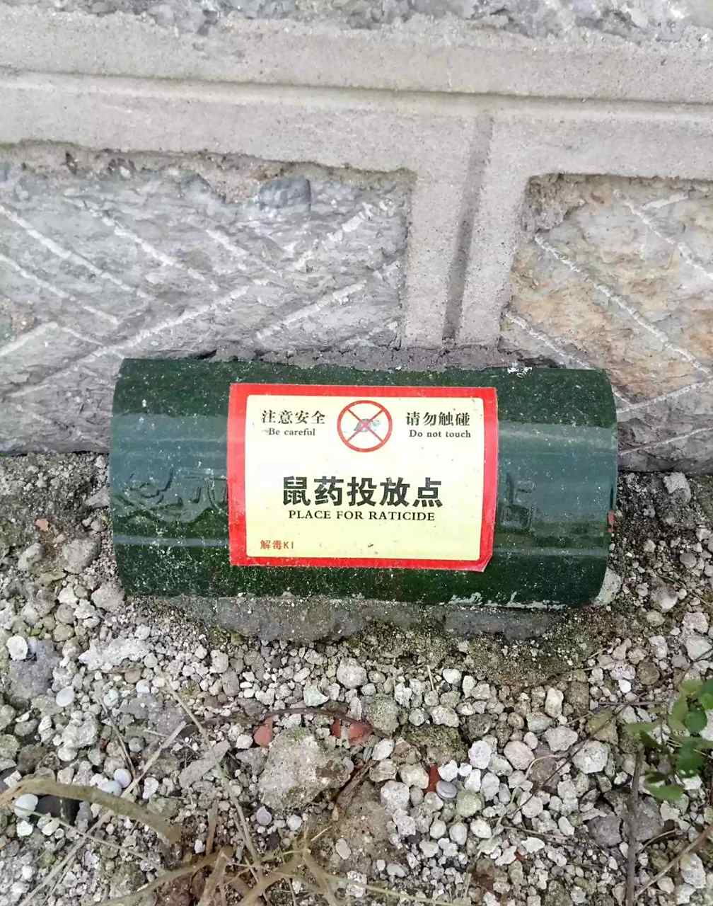 现在不管大街小巷都放上了鼠药投放器,这可是非常利好的一件事情.