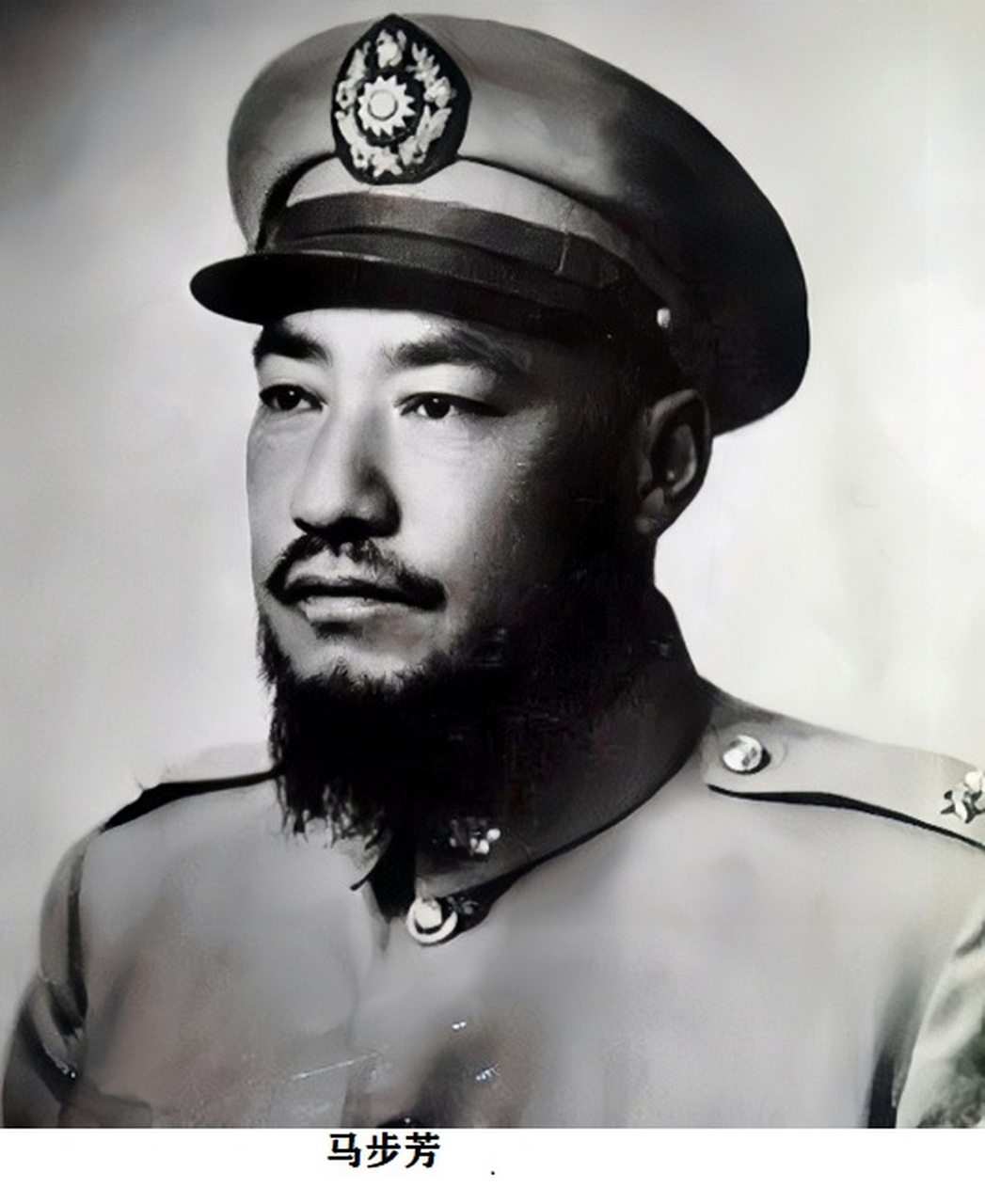 实际控制我国西北甘,宁,青的马姓地方军阀的俗称,其控制大西北将近80