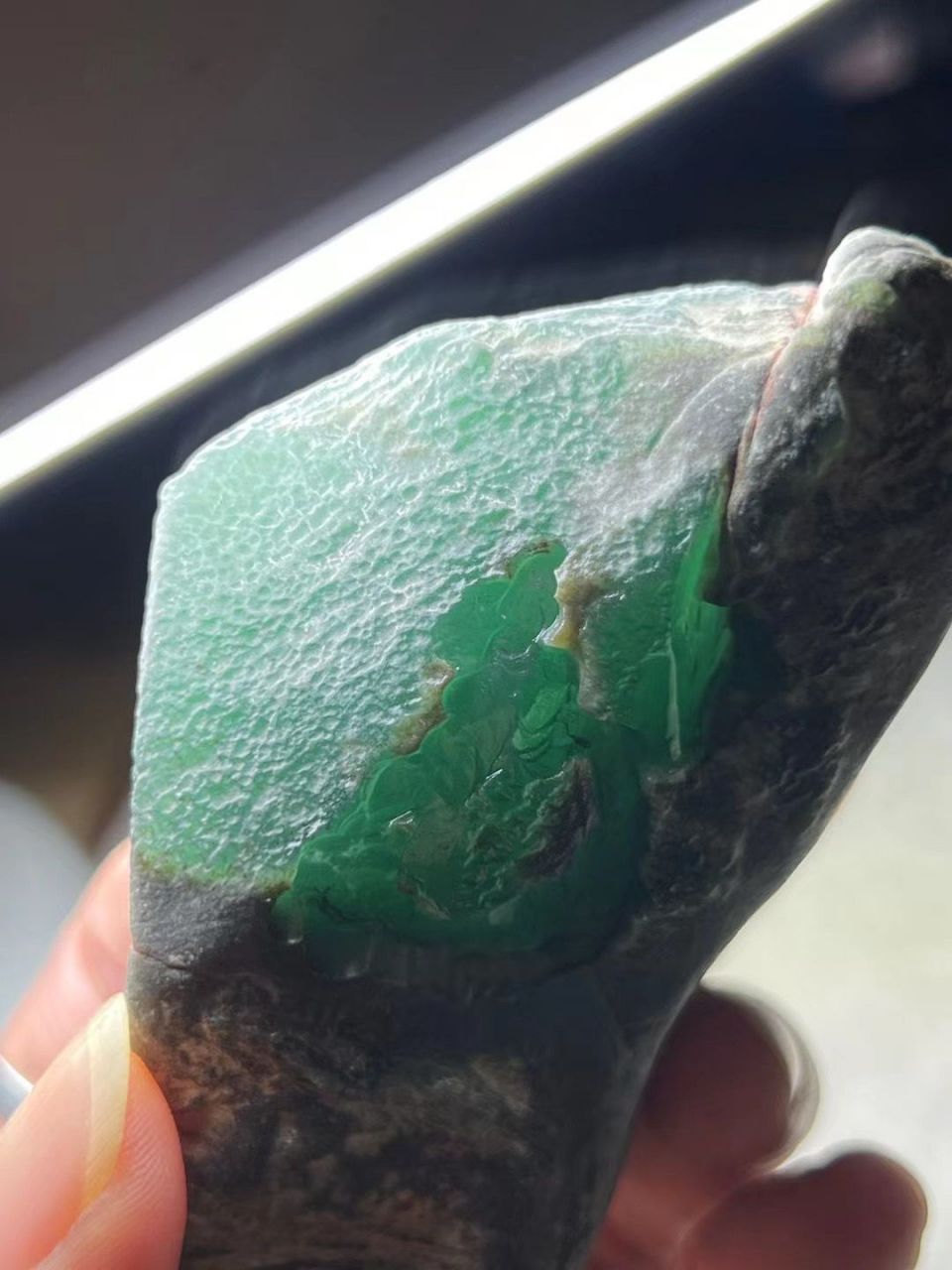 原石翡翠# 原石翡翠中嫩种和变种是什么?