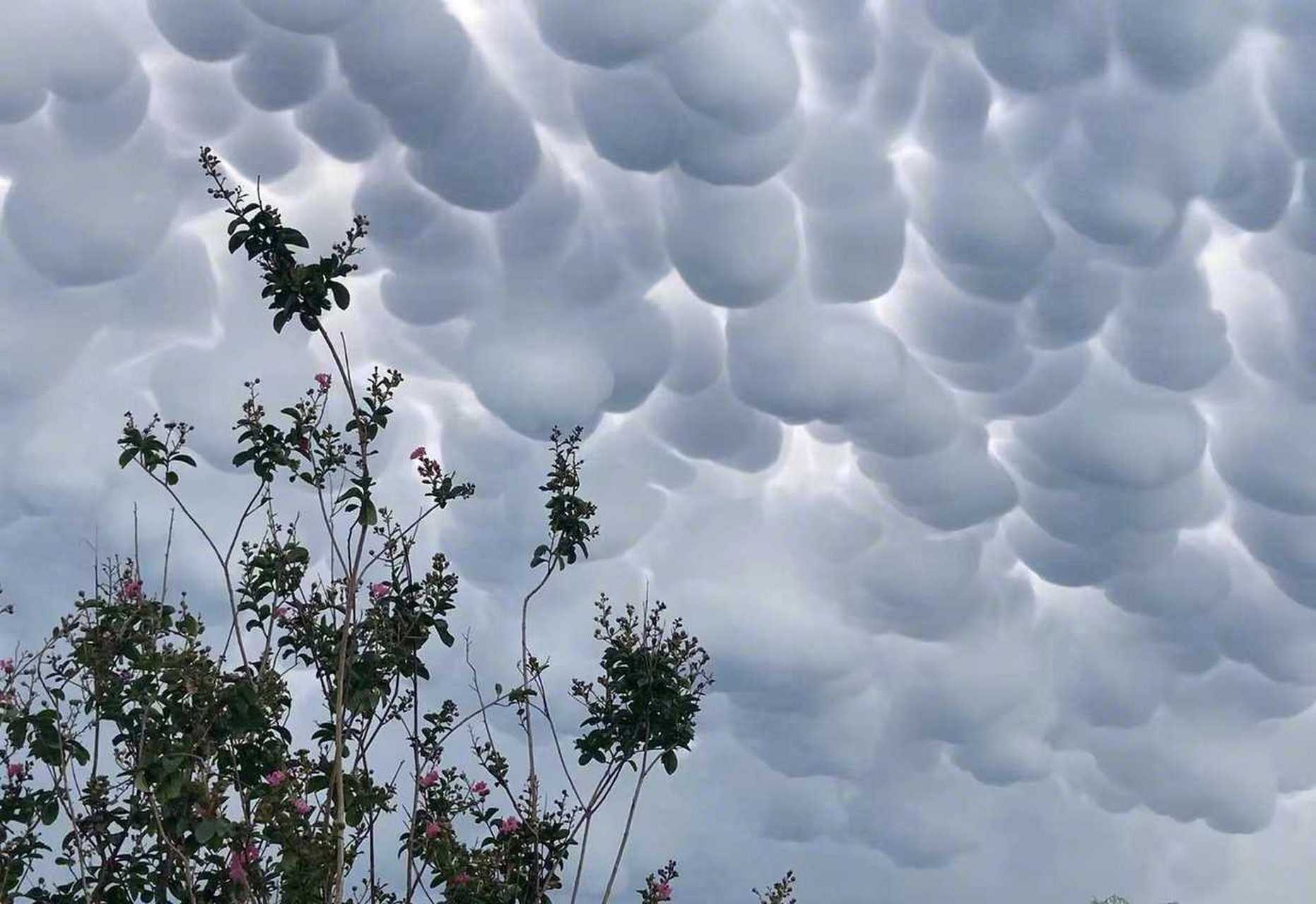 乳状云,也称悬球状云,是对流云的一种,激烈对流(不稳定)的气象标志.