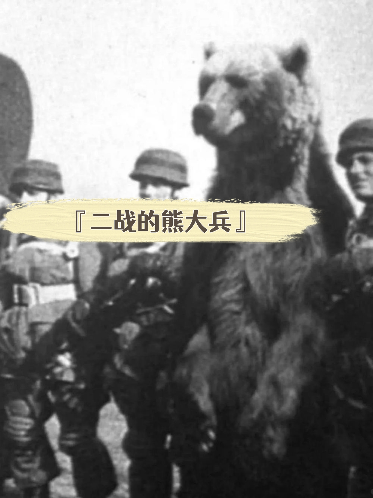 1942年波兰士兵们在伊朗边境接收了数以万计从