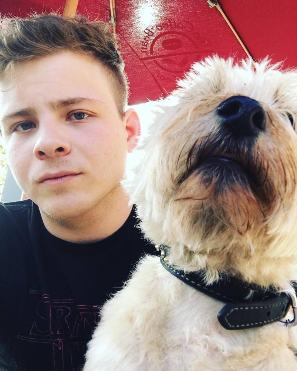 《精灵鼠小弟》里的小孩jonathan lipnicki(乔纳森·利普尼基)已经