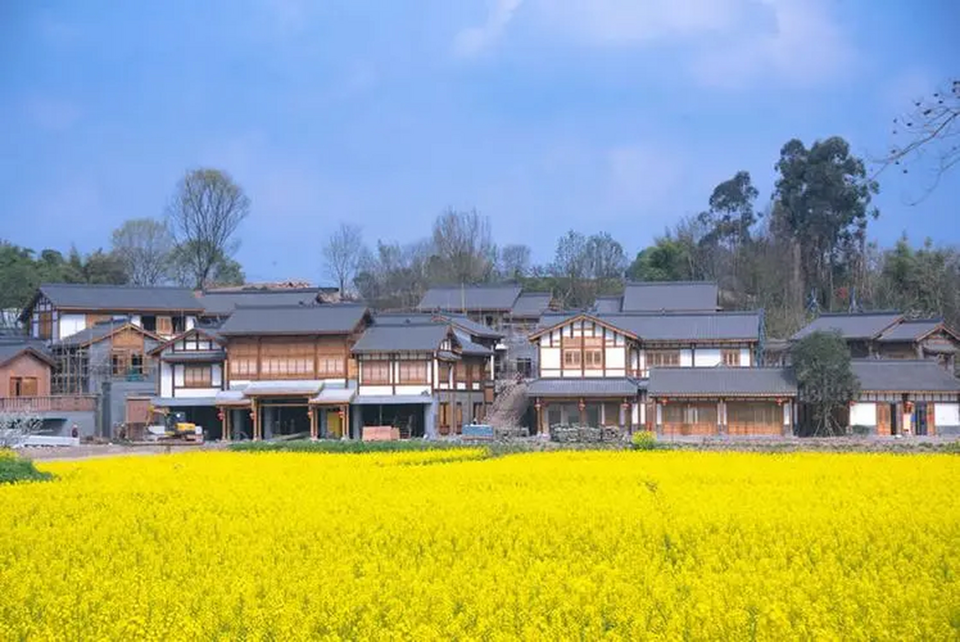 天府新区官塘村图片