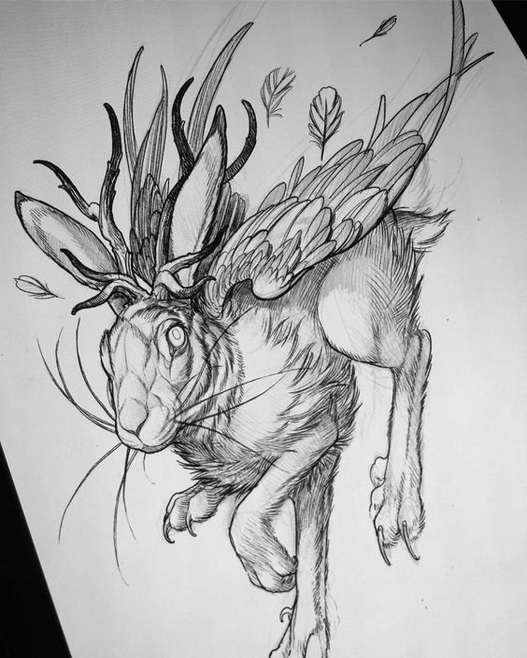 素描只怪兽,这是几只动物的结合体?