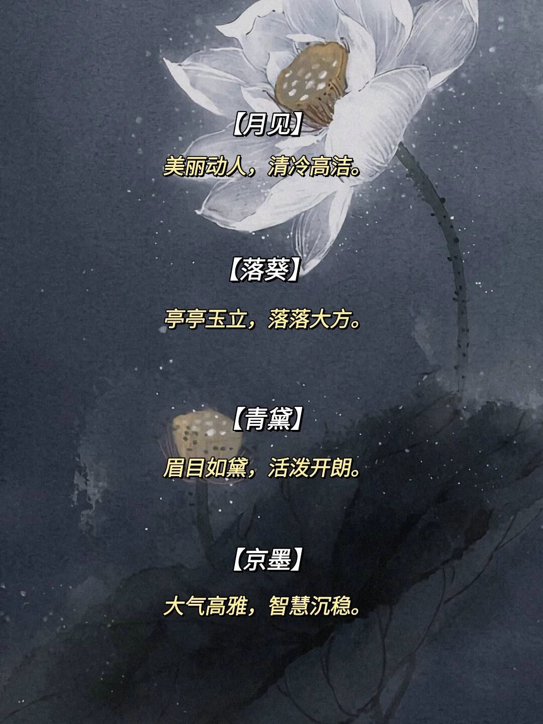 大气高雅智慧沉稳