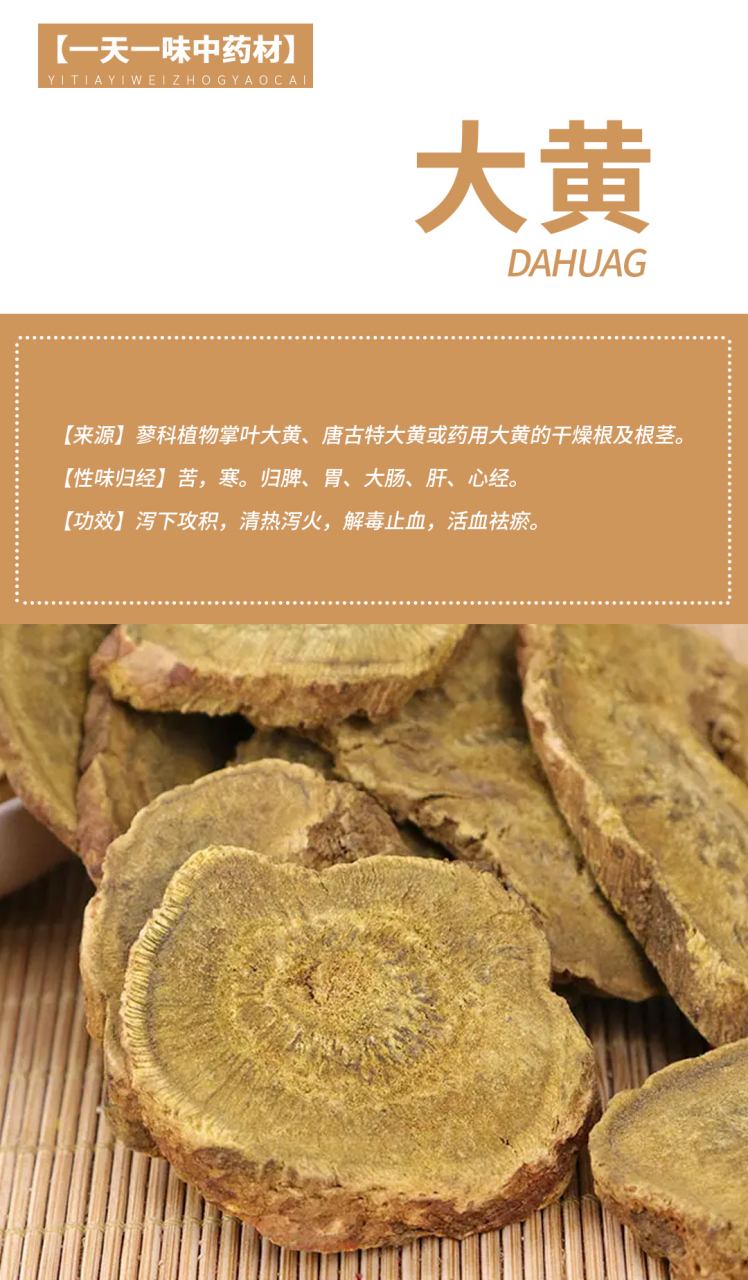 大黄 【来源】蓼科植物掌叶大黄,唐古特大黄或药用大黄的干燥根及根茎