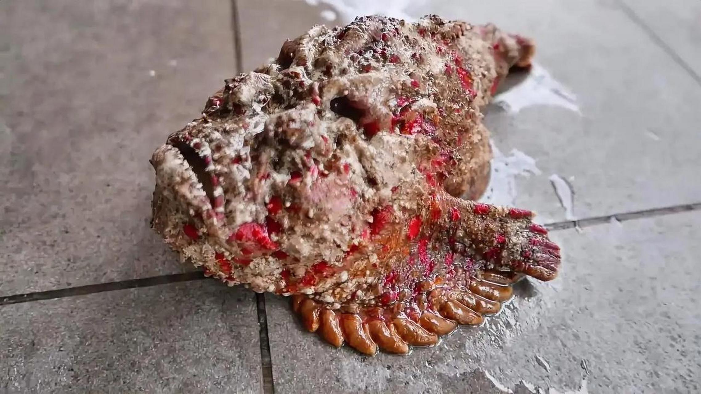 这种鱼被列为"世界十大毒王"之一,位居第四位.