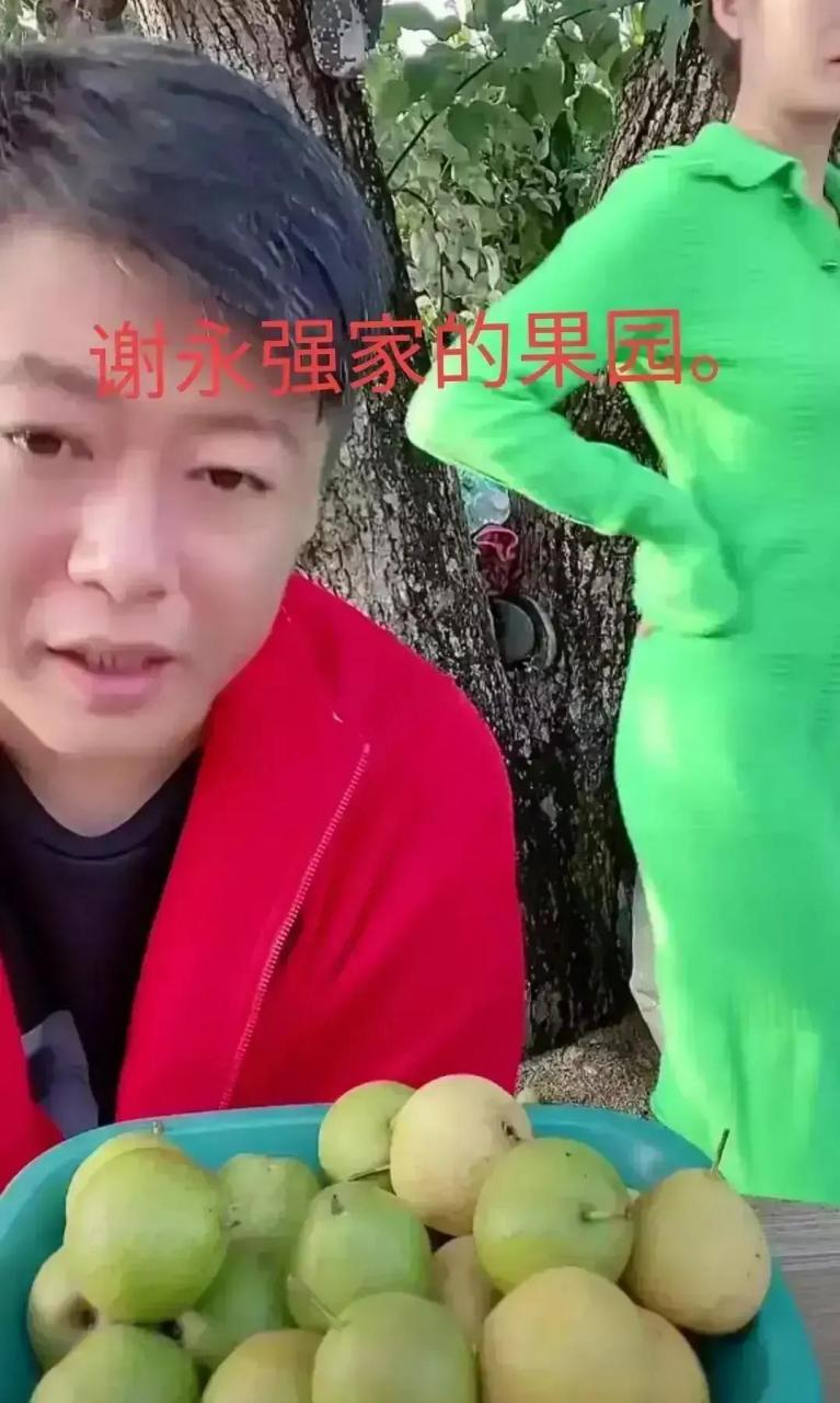 辽宁鞍山的南果梨28元5斤包邮 本来谢永强早已使用