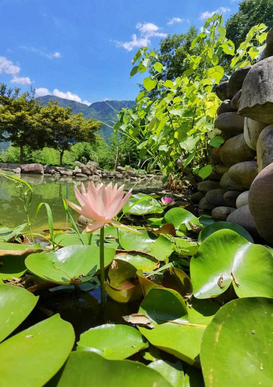 绿水青山带笑颜石坞村图片