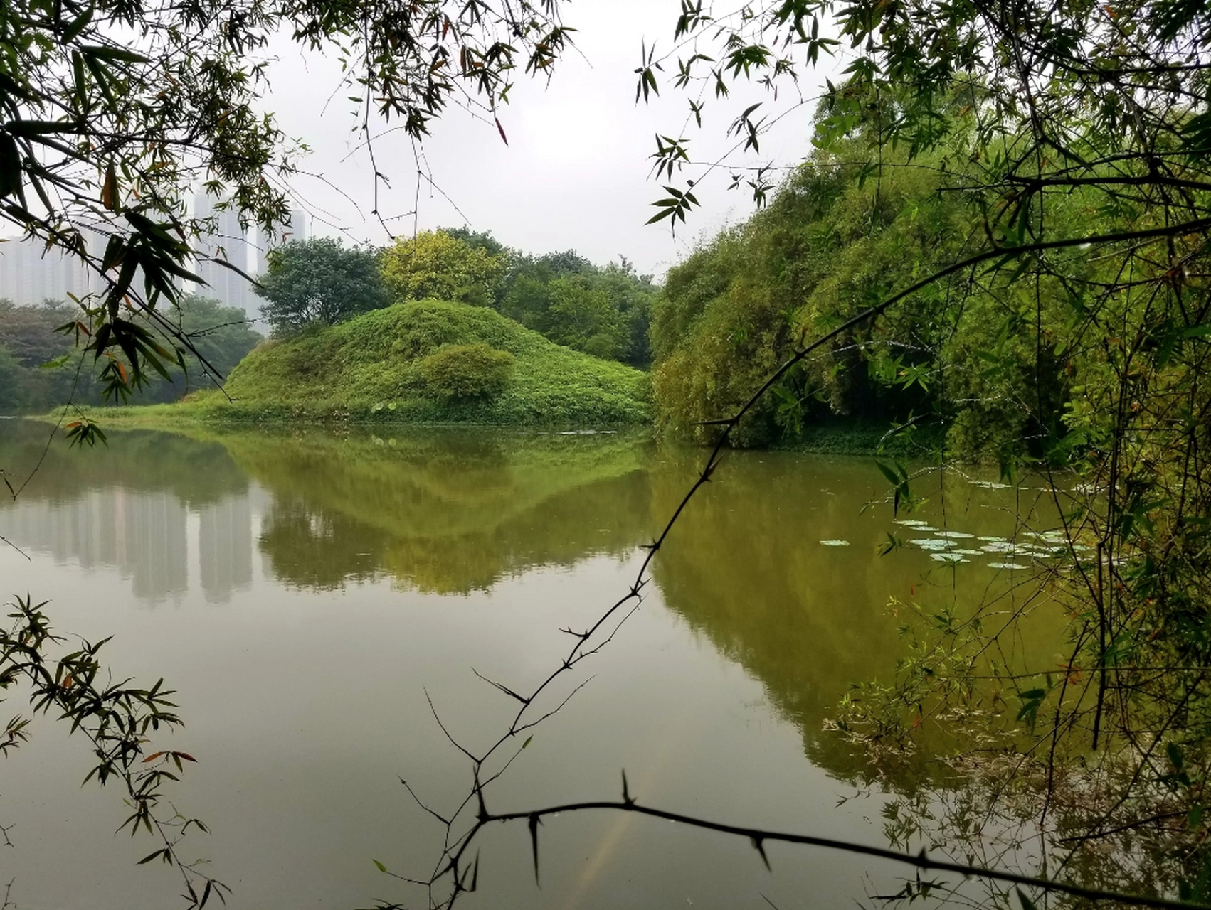 湛江南国热带花园图片