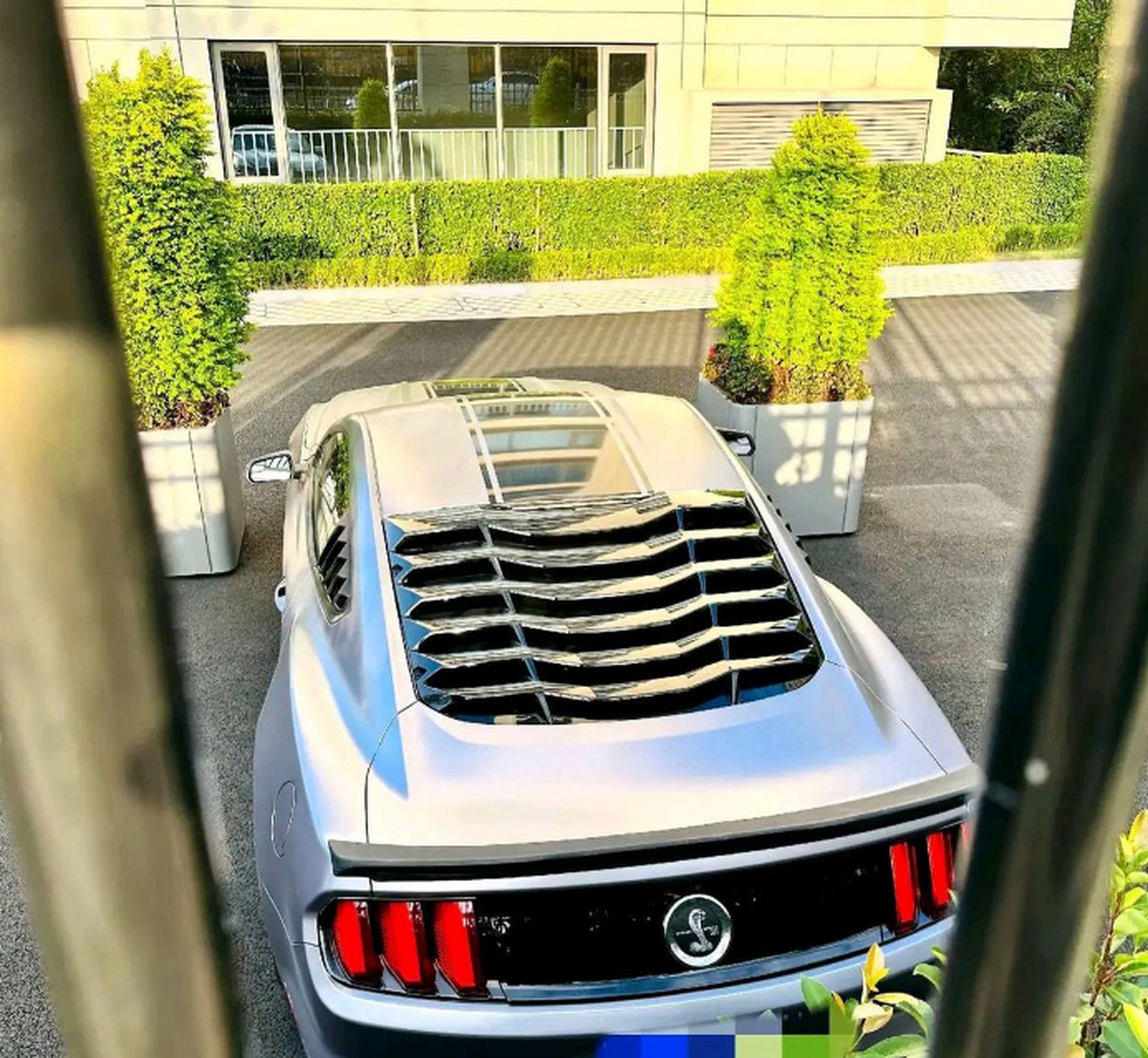 这是什么车?感觉好迪奥的样子 有没有大佬知道的[开心]