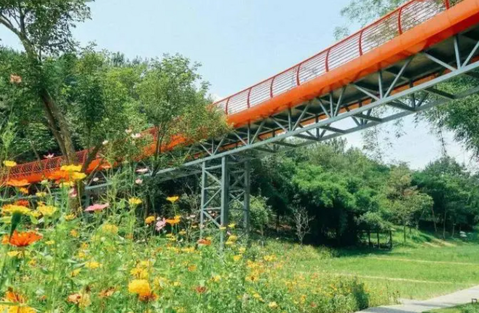 毛家湾森林公园,,成为了天府新区市民周末出游郊野的优选.