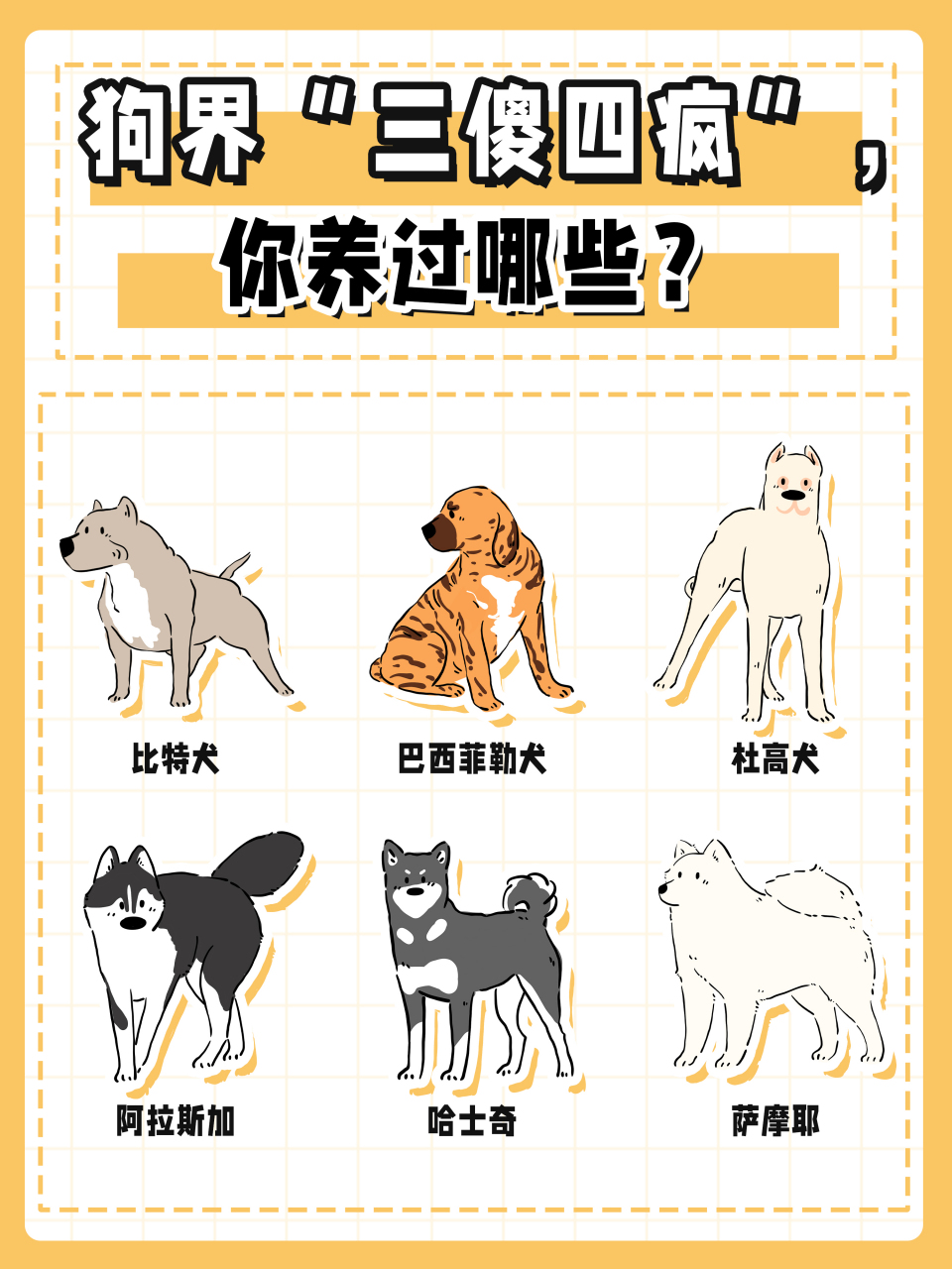 狗界三傻四疯,你养过几种?#狗狗