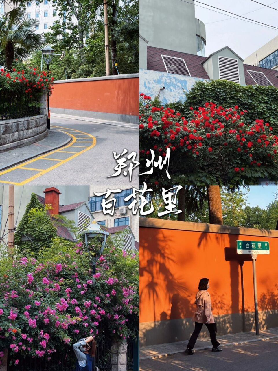 百花里的拐弯处是郑州十九中  路过还能听到学生的朗朗书声  从南向北