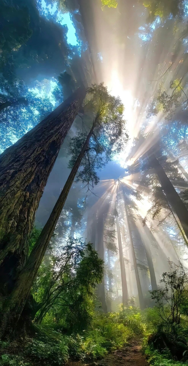 高能壁纸大集合:总有一款适合你  让我们一起换上一张高能量壁纸吧