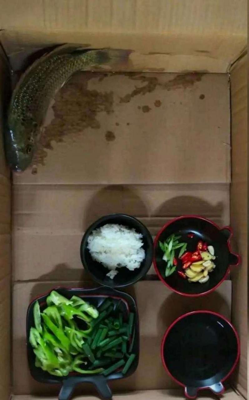 为什么我家鱼不吃饭呢