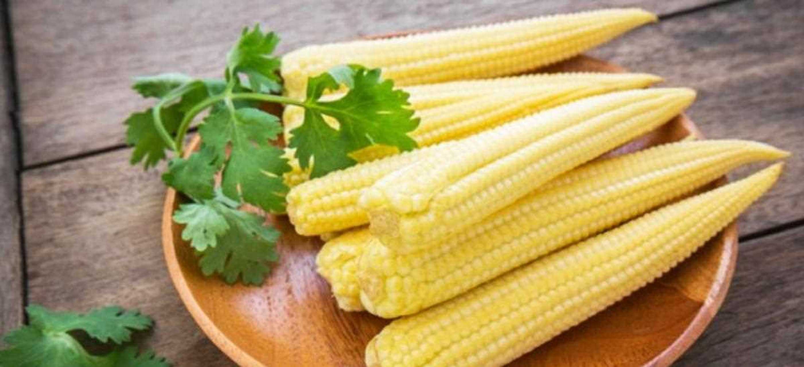 玉米笋 别名珍珠笋,番麦笋 主要季节 1[鼓掌] 挑选方式[汗] 挑玉米笋