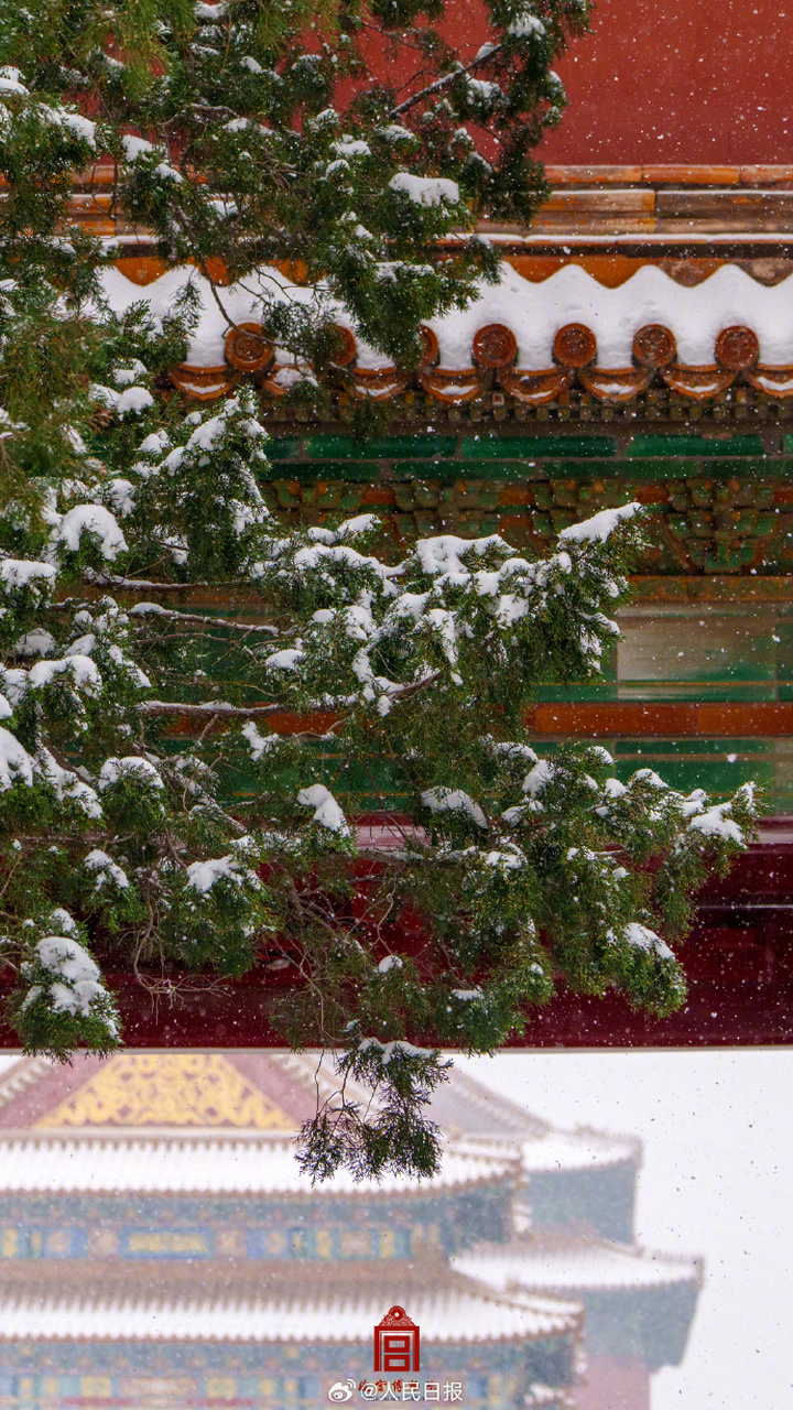 【故宫雪景】今日北京降雪仍在继续,感受故宫白雪红墙的氛围感