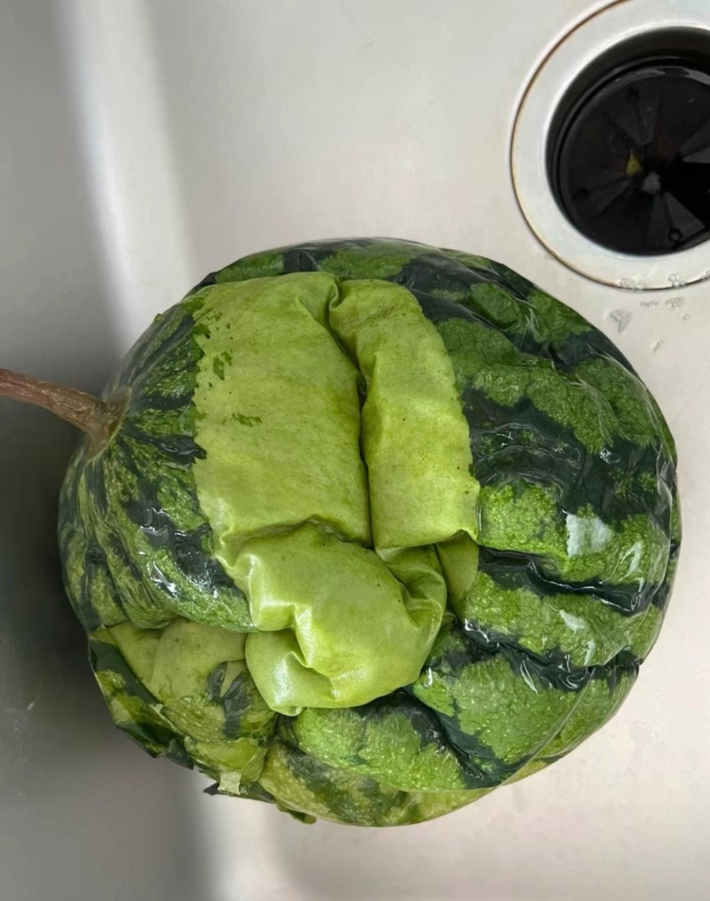 这瓜烂成这样了,还能吃吗?