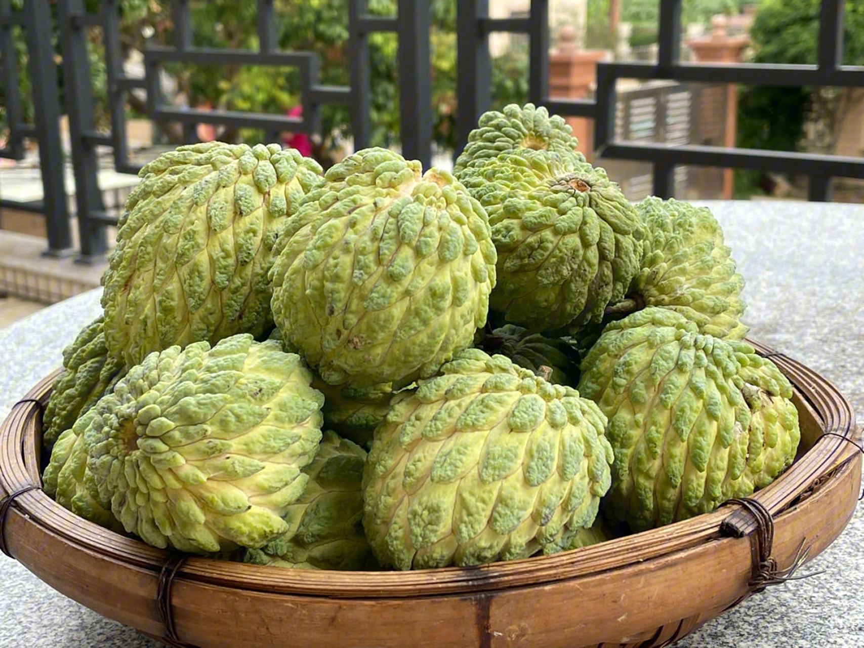 释迦果属番荔枝科,番荔枝属落叶小乔木,外面被白色粉霜,具有健脑,明目