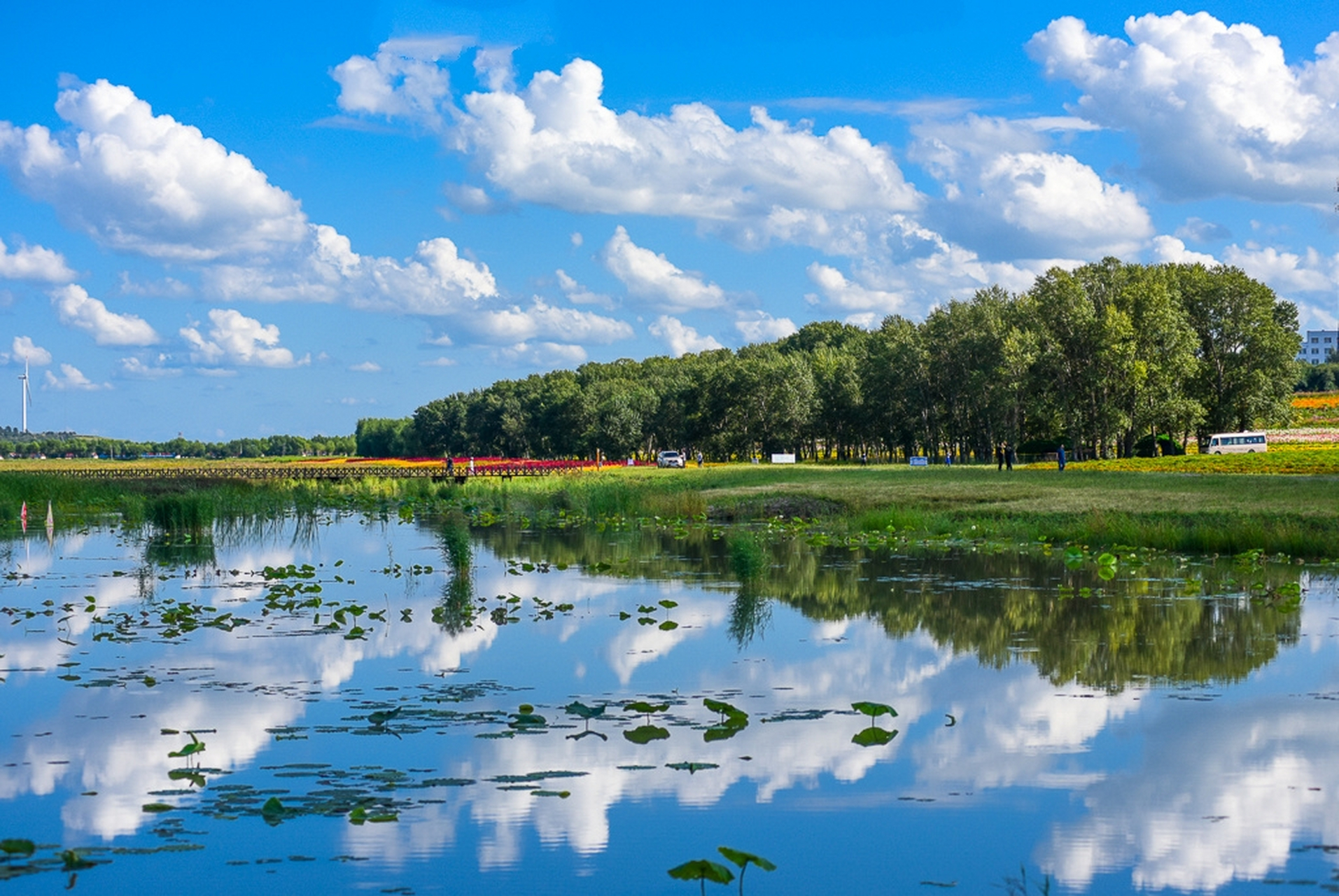 查干湖不止有冬捕,夏天的风光也很美