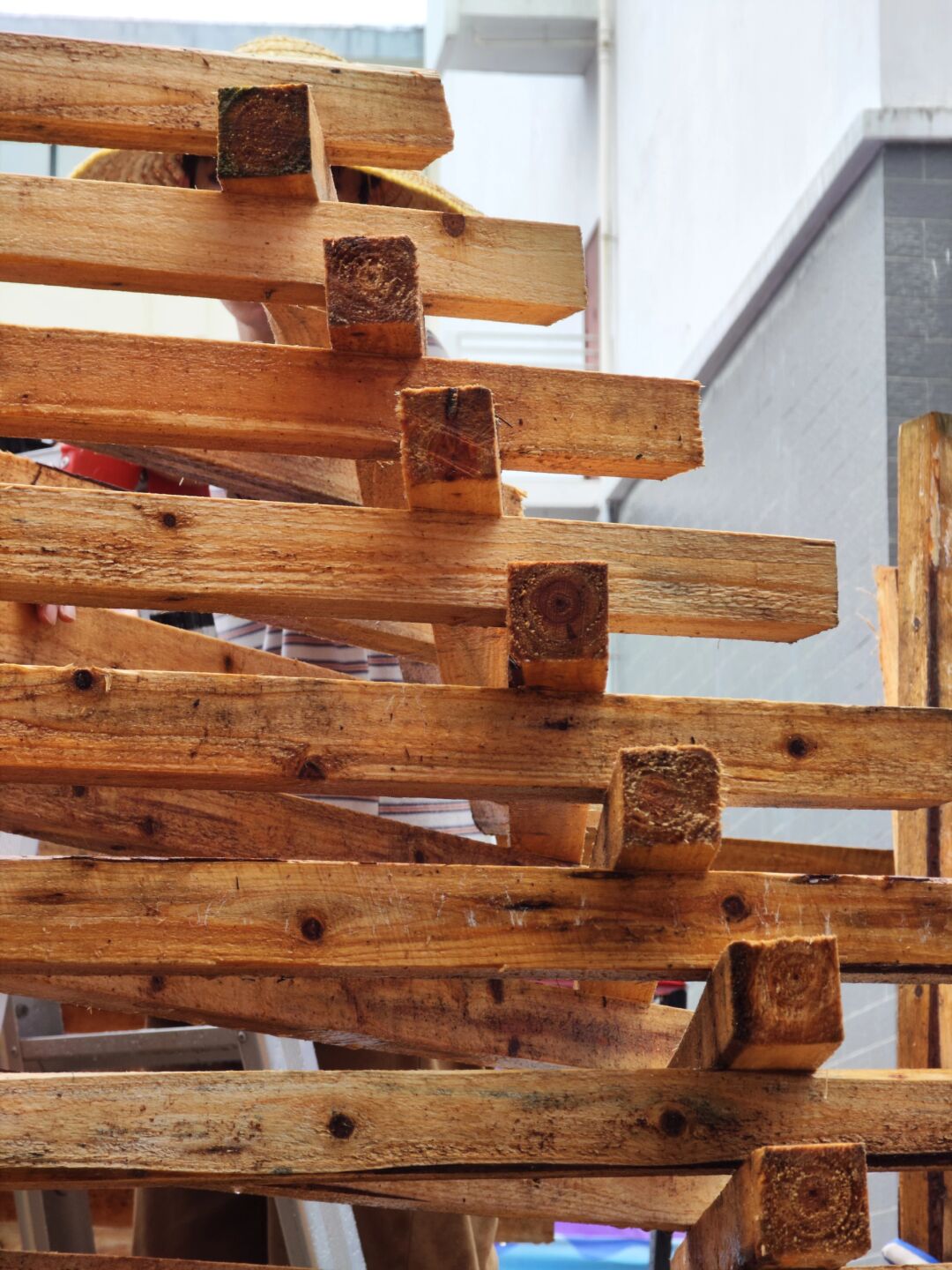 天之羽 神之翼 扶摇直上九万里