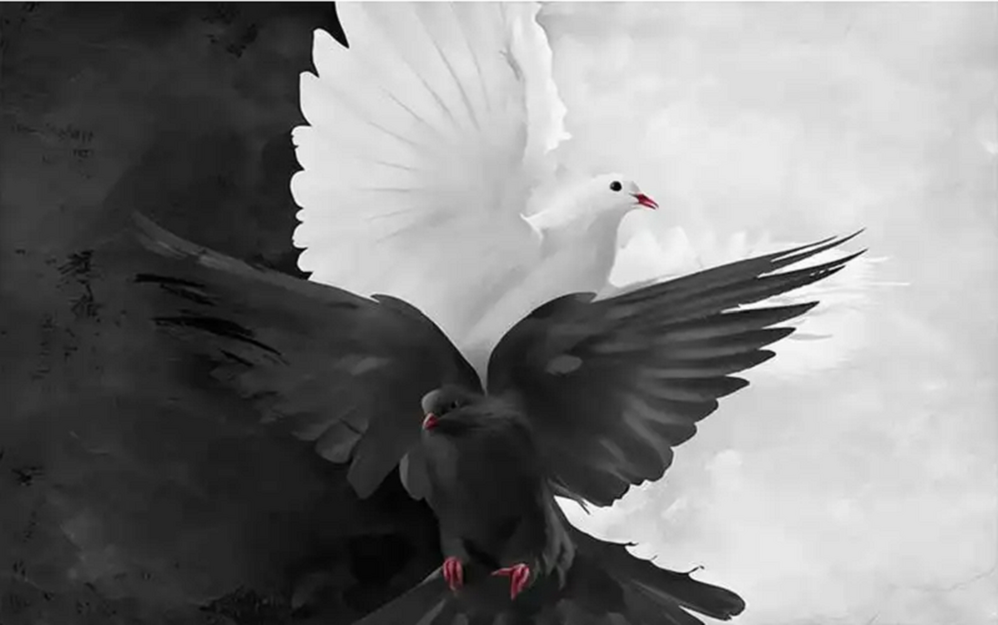 有一只乌鸦很仰慕那些在屋顶笼子里寻吃的白鸽.