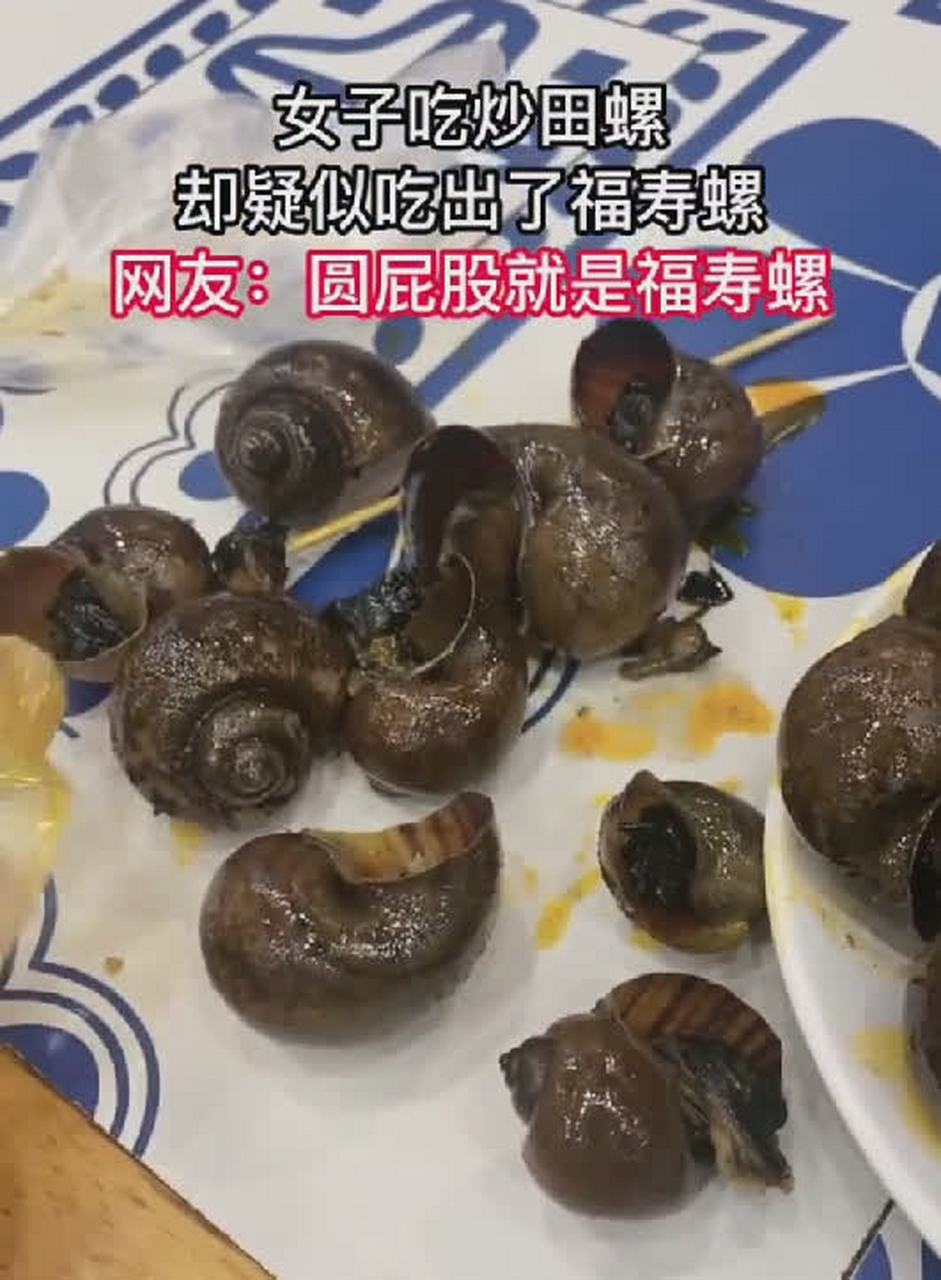 福寿螺肉和田螺肉图片