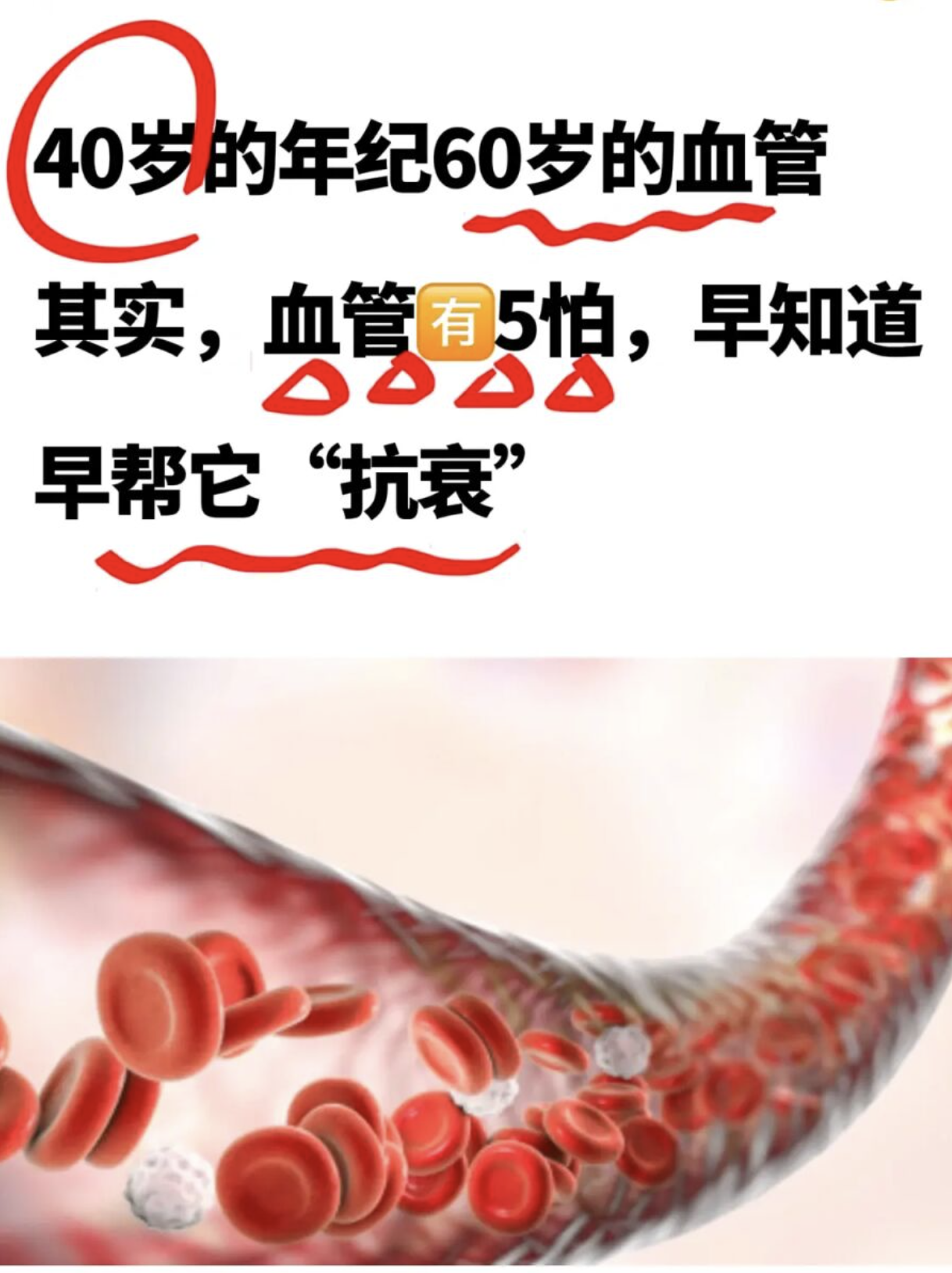 中国医学科学院阜外医院老年人看病代挂号来京就医食宿行全程安排，省心到底的简单介绍