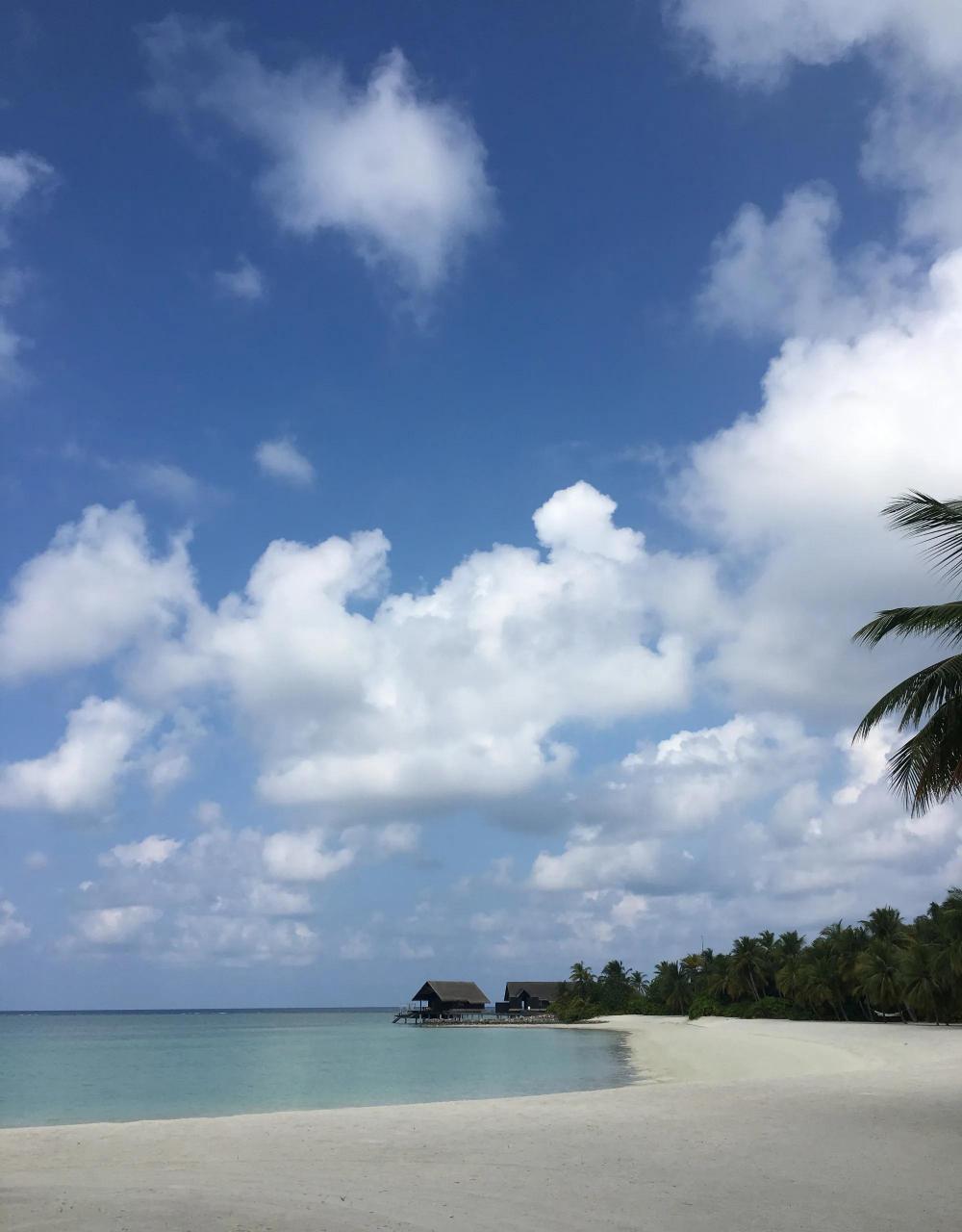 gif创作人# 著名女星陈数的生活照,有钱人的生活就是不一样