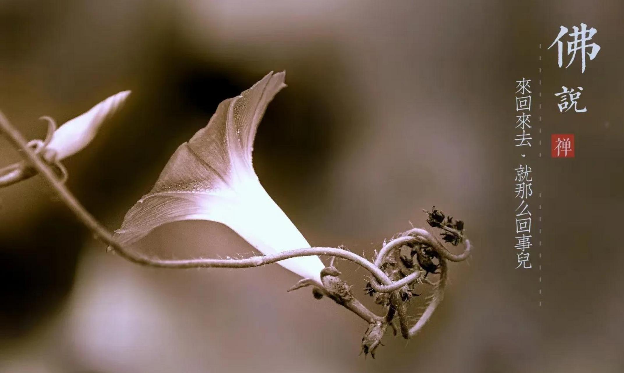 你可以有爱,但千万别犯贱,记住一句话,全心全意的爱自己,量力而行的爱