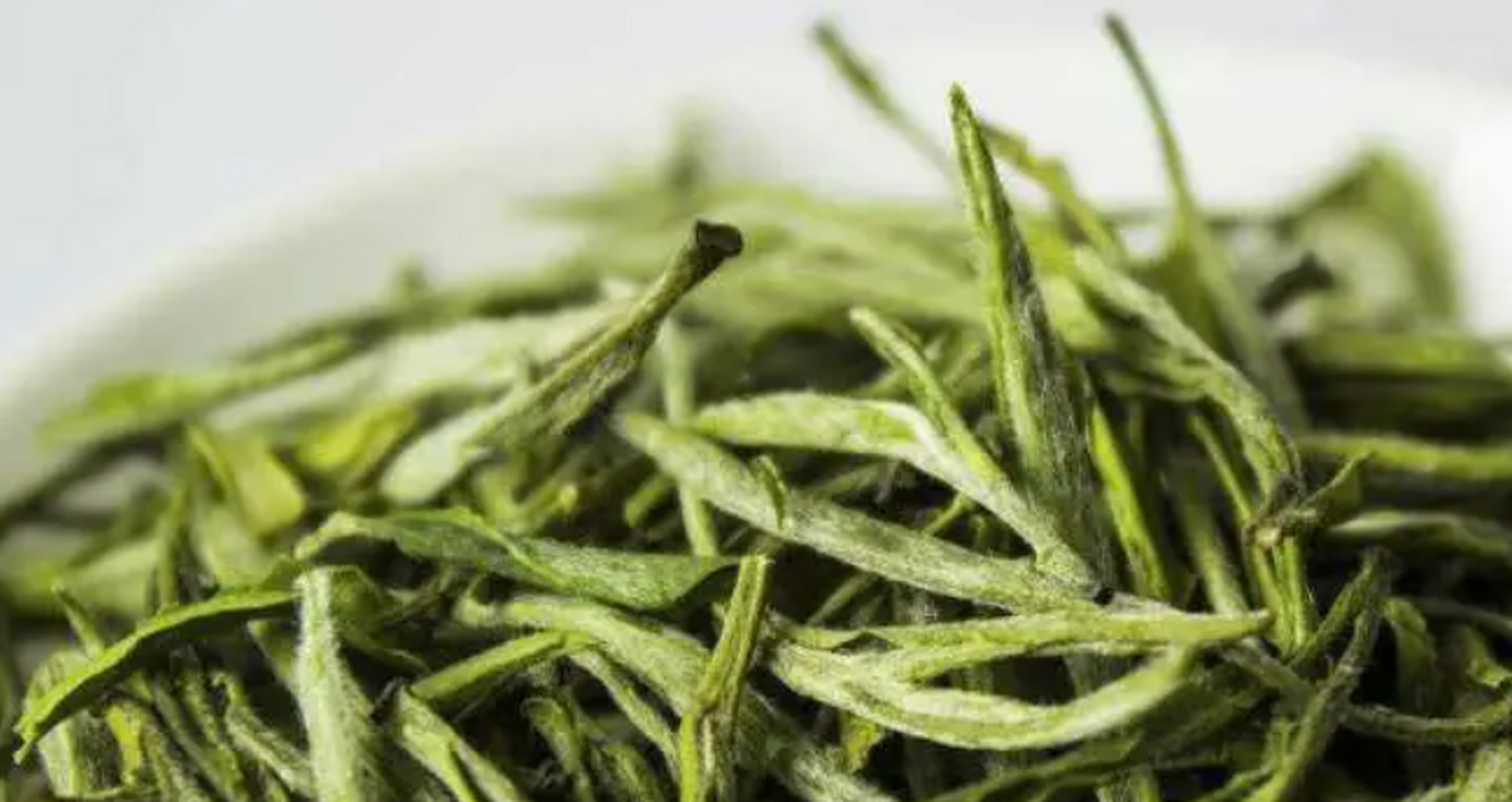宜宾毛尖则属于宜宾春茶之一,隶属四川十大名茶天府龙芽系列,质量