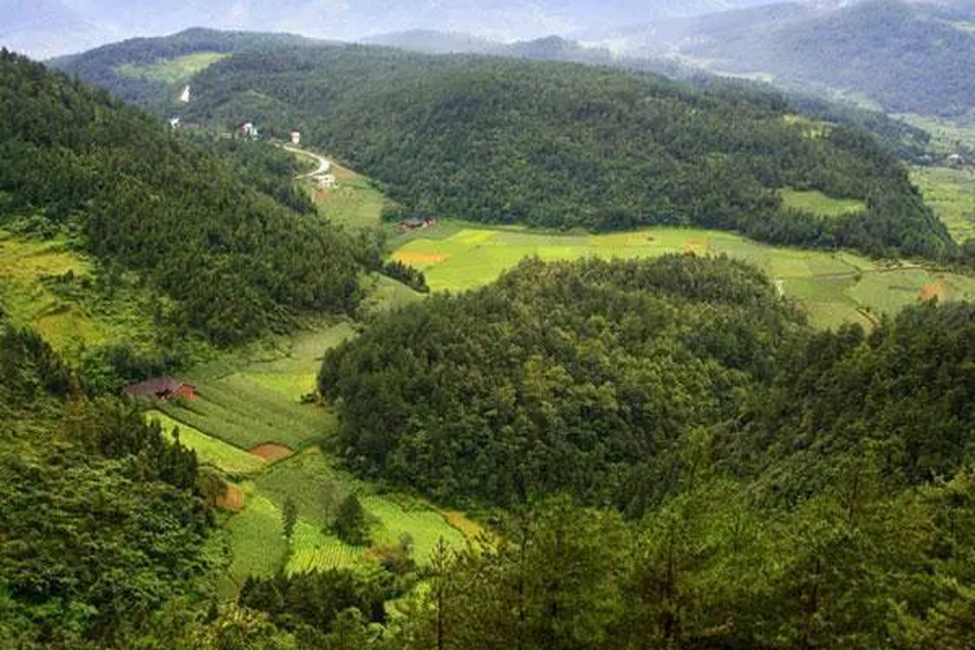 黄安坝草原图片