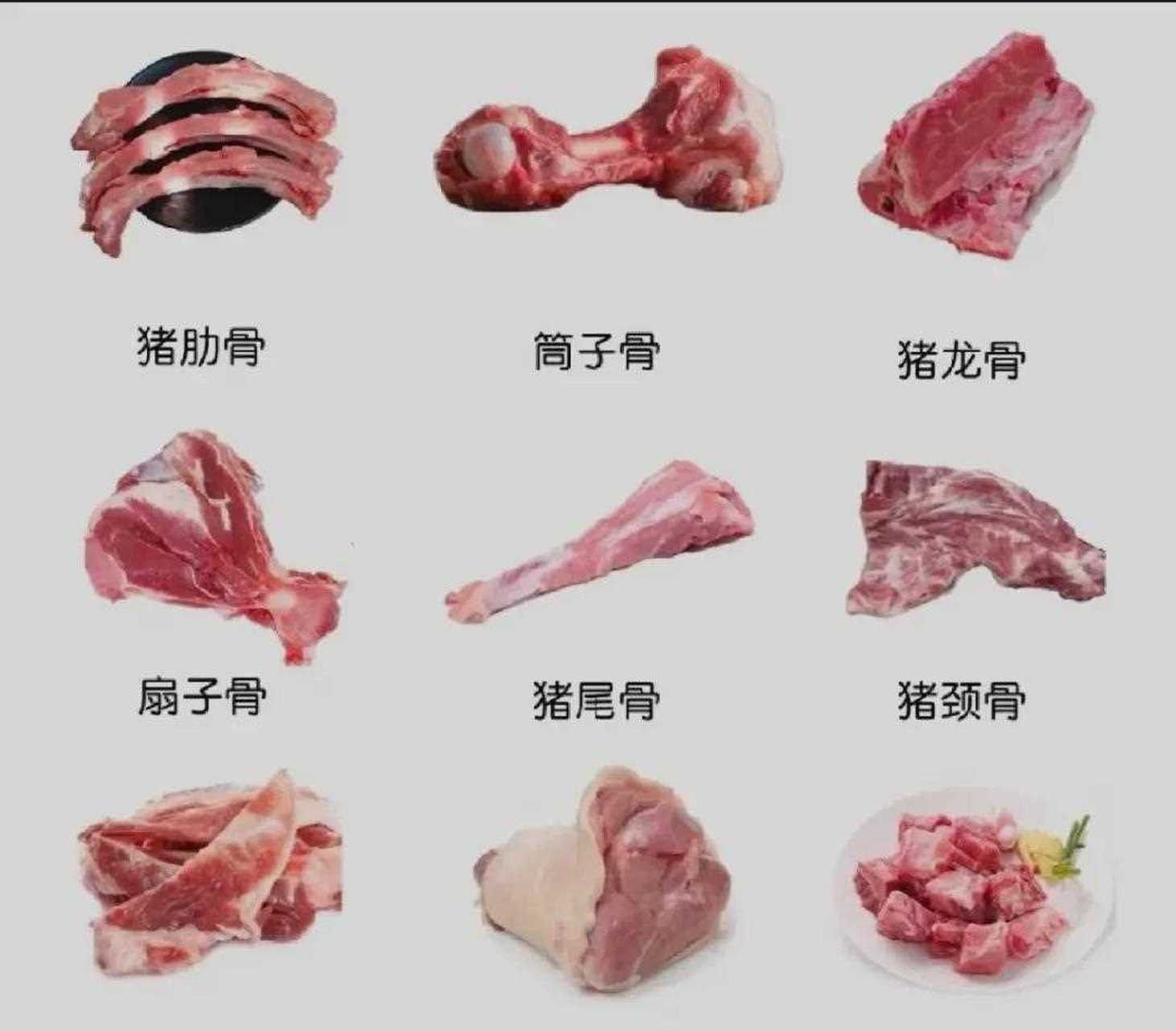 猪骨营养价值高,每个部位都有相应的烹调方法 今天给大家整理各个部位