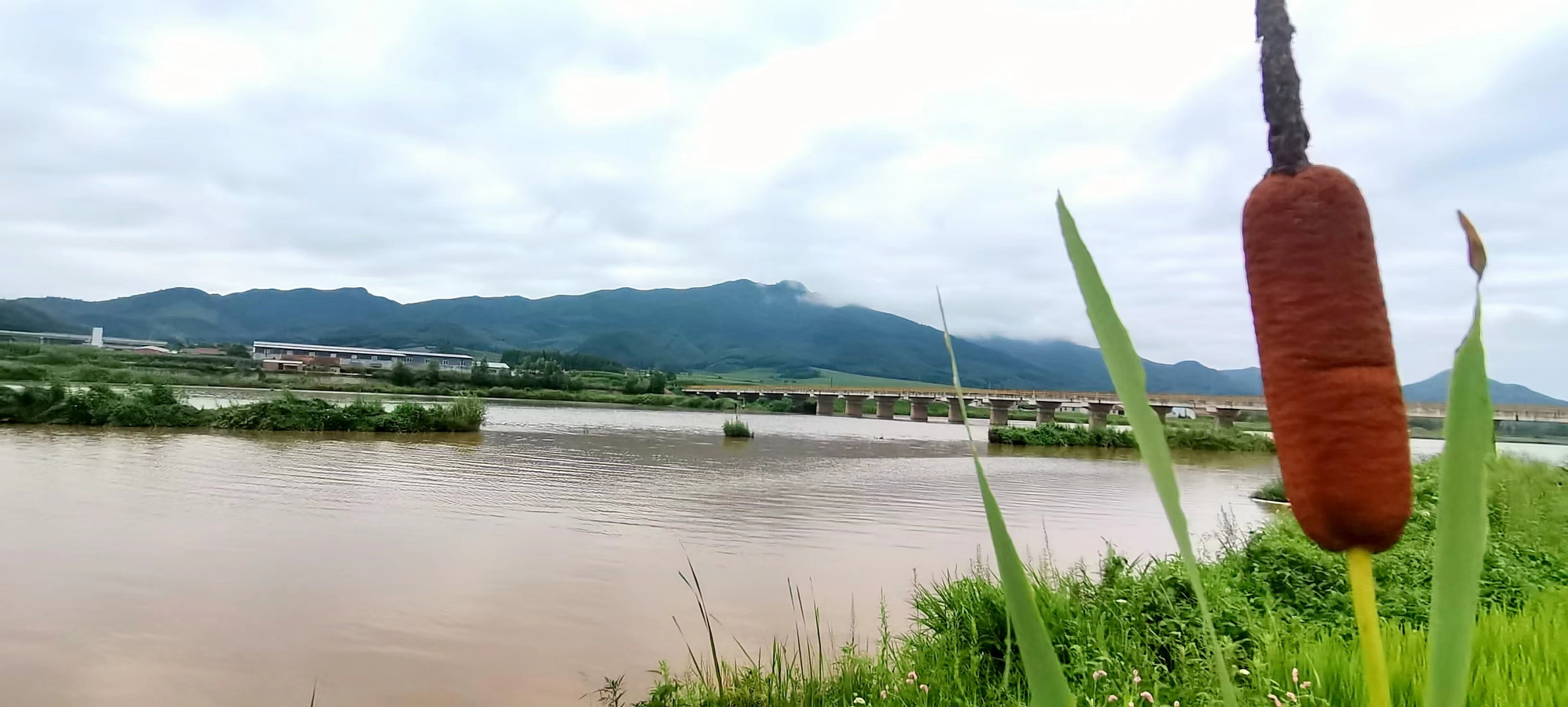 网红打卡地辽宁杠杠滴# 【抚顺市新宾满族自治县——苏子河】 #美好