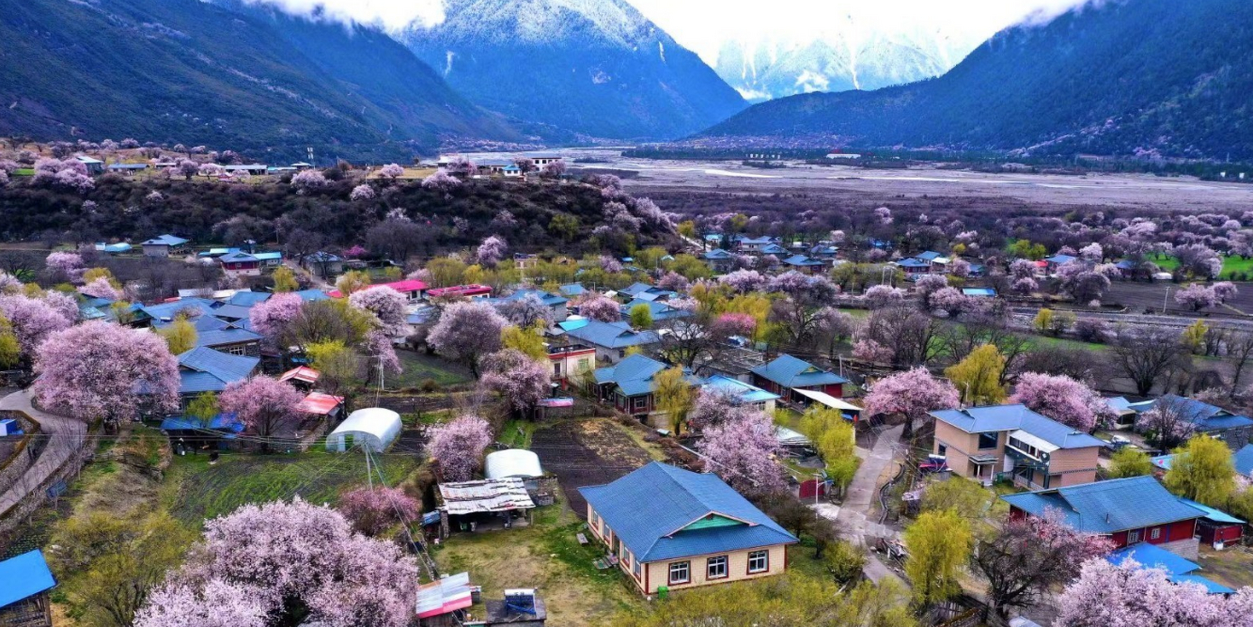 据人民网发布  西藏林芝市波密县桃花沟吸引了来自各地游客观光游览