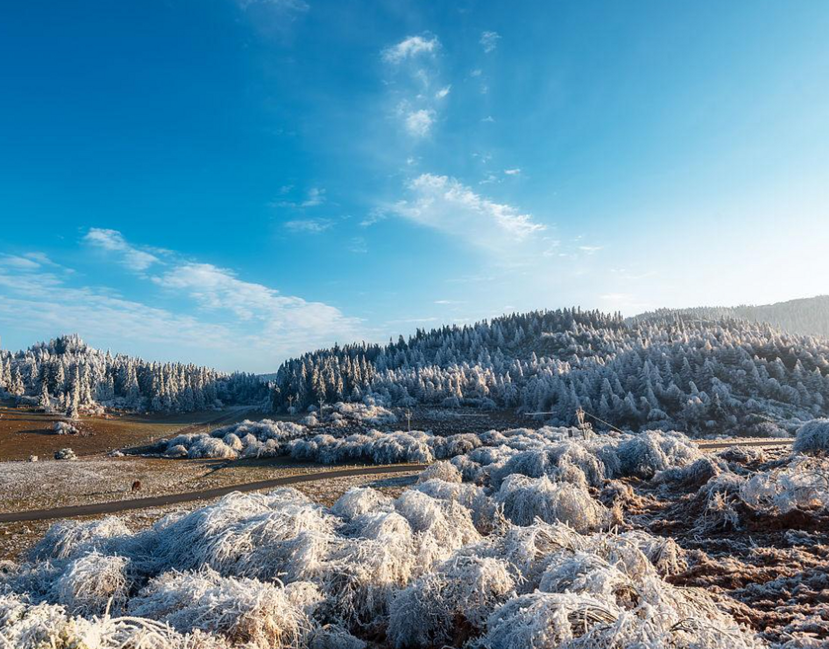 山城冬日碎片记#  冬天的仙女山简直太美了,这个周末仙女山很有磕能