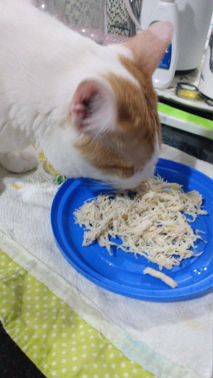 手脚麻利点行吗,年轻人 不错,手艺不错.