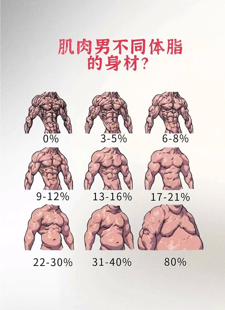 肌肉男不同体脂的身材,你是哪种?